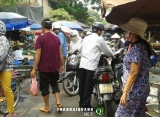 Cảnh dân Hà Nội đội mưa đi mua thực phẩm chống bão