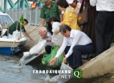 Chủ tịch thành phố thả cá, người dân thi nhau… thả câu