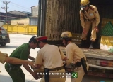 Trá hình xe cứu thương để buôn lậu, CSGT gắt gao tuần tra