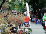 Miền Bắc đón Tết trong nắng ấm