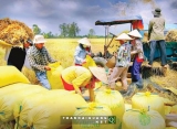 Triển khai Thông điệp Thủ tướng – Kỳ 2: Đột phá chính sách, tạo động lực mới