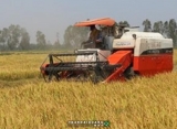 Hỗ trợ 100% lãi suất mua máy, thiết bị giảm tổn thất trong nông nghiệp