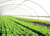 Sóc Trăng cần chú trọng ứng dụng KHCN vào sản xuất nông nghiệp