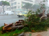 590.000 người Nhật nhận lệnh sơ tán do siêu bão
