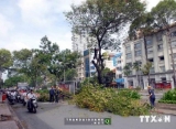 Tây Ban Nha hỗ trợ TP.HCM nghiên cứu xây tuyến Metro số 5