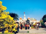 Thành phố Hồ Chí Minh và những mùa hoa xuân