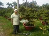 Đại gia tuần: Nông dân thu tiền tỷ, Cường đôla gặp hạn