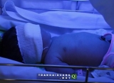 Bé gái sơ sinh bị bỏ rơi bên lề đường