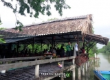 Đón Tây về nhà, nông dân tha hồ đếm tiền đô