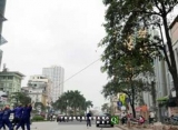 Việc chặt hạ 6.700 cây xanh vi phạm Nghị định của Chính phủ