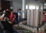 Mỗi ngày tăng 1 triệu đồng/m2: Cò đất náo loạn Hà Nội