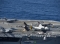 Tiêm kích F-35 tự chứng minh là kẻ vô dụng đắt tiền