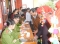 Đến bản làng cấp chứng minh nhân dân