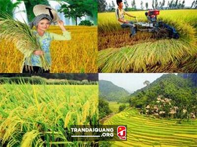 240211-so-20ket-20tam-20nong-400136Canada hỗ trợ Việt Nam 13 triệu USD phát triển nông nghiệp2454873-1431529426231