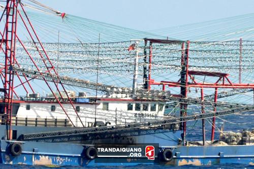 Tàu Trung Quốc tăng đột biến quanh bãi ngầm Ba Kè - ảnh 7