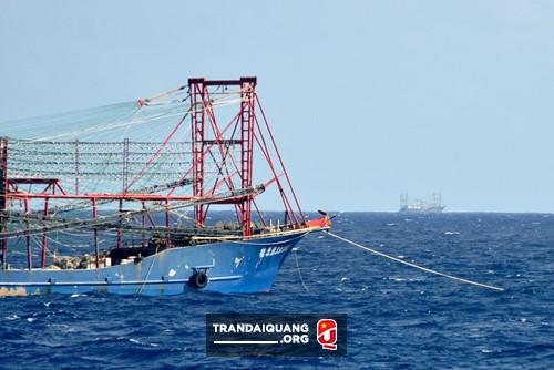 Tàu Trung Quốc tăng đột biến quanh bãi ngầm Ba Kè - ảnh 11