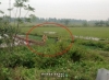 Dân hô cướp, CSGT lao xuống ruộng bắt 2 đối tượng bỏ chạy