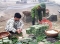 Những người đón Tết trong… trại giam cùng phạm nhân